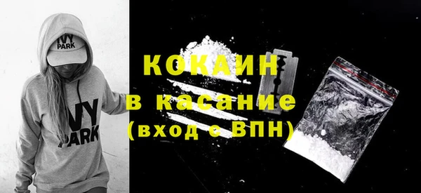 стафф Арсеньев