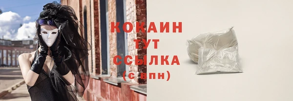 стафф Арсеньев