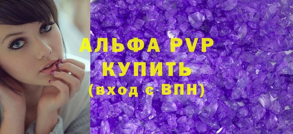 стафф Арсеньев