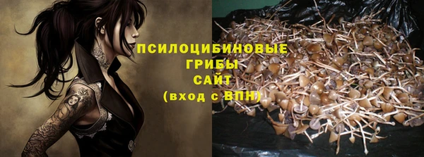 стафф Арсеньев