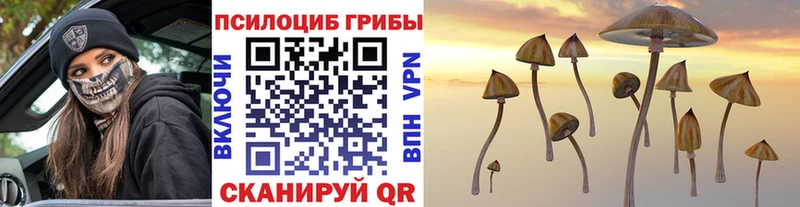 Галлюциногенные грибы GOLDEN TEACHER  цена наркотик  Полесск 