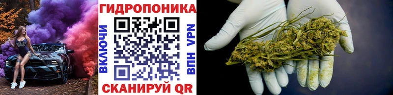 Бошки Шишки сатива Полесск