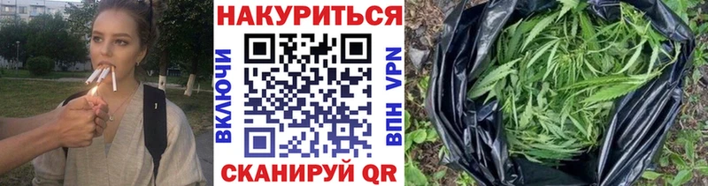 Конопля план  где можно купить   Полесск 